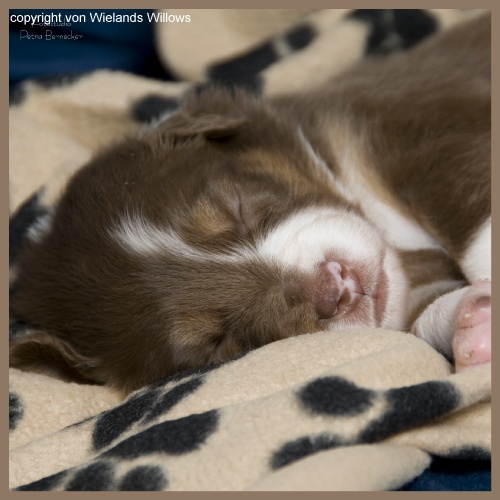 Zum Beenden - Bild anklicken