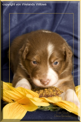 Zum Beenden - Bild anklicken