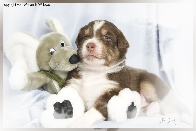 Zum Beenden - Bild anklicken