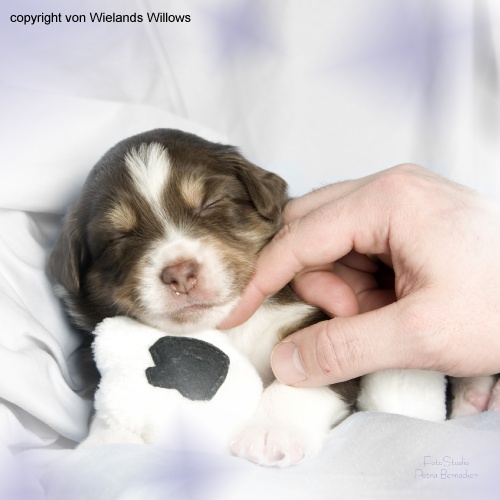 Zum Beenden - Bild anklicken