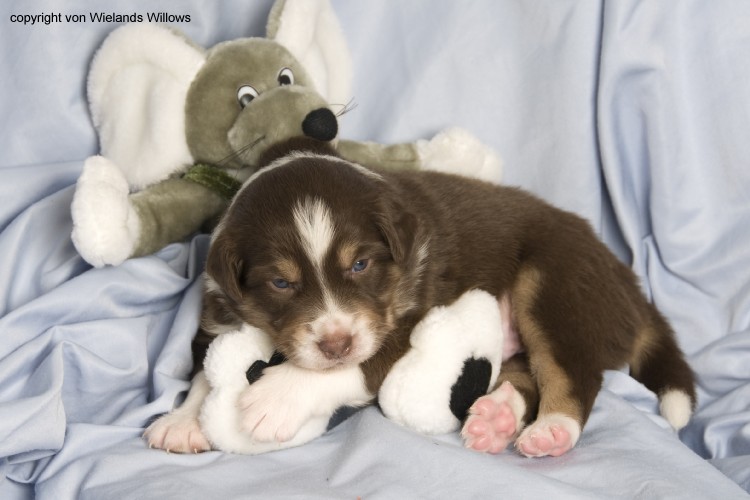 Zum Beenden - Bild anklicken