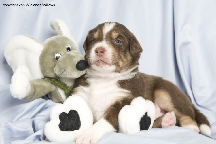 Zum Beenden - Bild anklicken