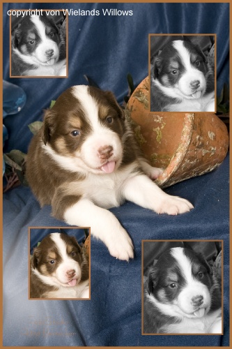 Zum Beenden - Bild anklicken