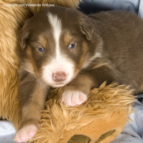 Zum Beenden - Bild anklicken