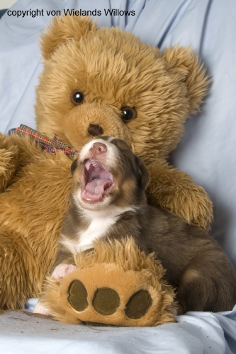 Zum Beenden - Bild anklicken