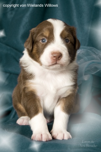 Zum Beenden - Bild anklicken