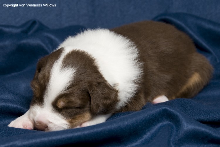 Zum Beenden - Bild anklicken