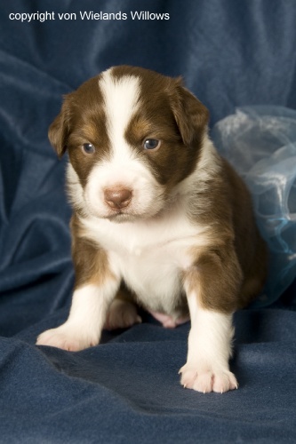 Zum Beenden - Bild anklicken