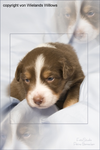 Zum Beenden - Bild anklicken