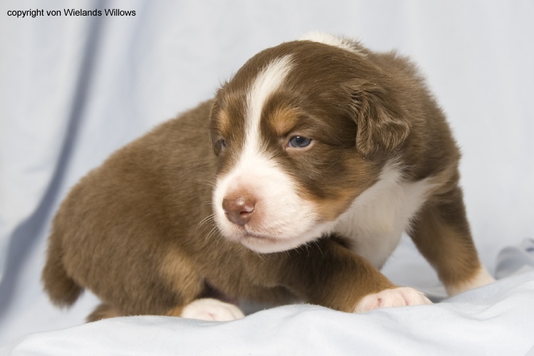 Zum Beenden - Bild anklicken